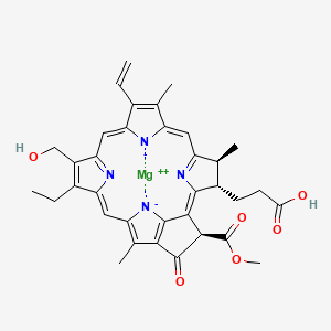 7(1)-Hydroxychlorophyllide a
