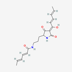 molecular formula C19H24N2O4 B12643302 Catacandin CAS No. 100753-64-8