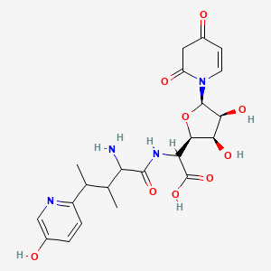 molecular formula C22H28N4O9 B1264349 2-[[2-amino-4-(5-hydroxy-2-pyridinyl)-3-methyl-1-oxopentyl]amino]-2-[(2R,3R,4S,5R)-5-(2,4-dioxo-1-pyridinyl)-3,4-dihydroxy-2-oxolanyl]acetic acid 