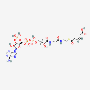 molecular formula C27H42N7O19P3S B1264358 cis-3,4-didehydroadipoyl-CoA 