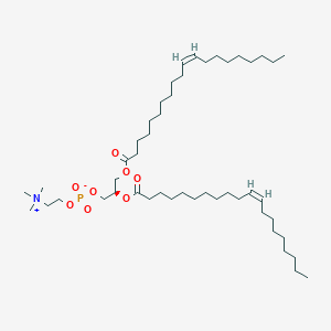 molecular formula C48H92NO8P B1264426 1,2-二-[(11Z)-二十烯酰基]-sn-甘油-3-磷酸胆碱 