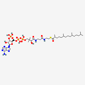 molecular formula C40H72N7O17P3S B1264444 pristanoyl-CoA CAS No. 137895-03-5