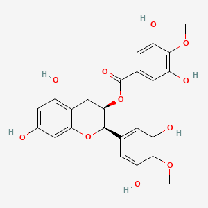 molecular formula C24H22O11 B1264476 4',4''-Dimethylepigallocatechin gallate CAS No. 298700-58-0