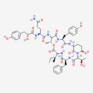 Aeruginopeptin 228A