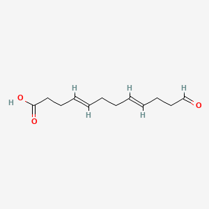 molecular formula C12H18O3 B12645103 11-Formylundeca-4,8-dienoic acid CAS No. 55348-86-2