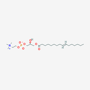 1-[(9E)-hexadecenoyl]-sn-glycero-3-phosphocholine