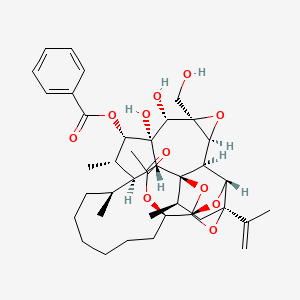 molecular formula C39H52O11 B12645627 Dircin CAS No. 88497-93-2