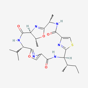 molecular formula C24H32N6O5S B1264614 Aerucyclamide C 