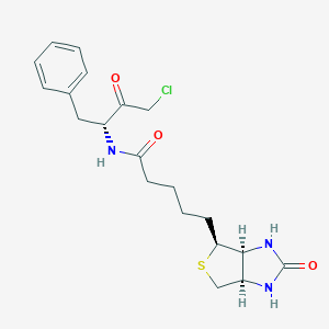 Biotinylphenylalanylchloromethane