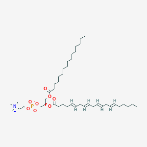 molecular formula C44H80NO8P B1264624 1-十六烷酰-2-(5E,8E,11E,14E-二十碳四烯酰)-sn-甘油-3-磷酸胆碱 