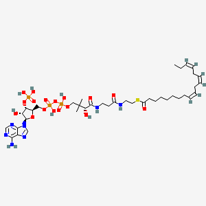 molecular formula C39H64N7O17P3S B1264634 alpha-Linolenoyl-CoA 