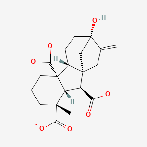 molecular formula C20H23O7-3 B1264637 赤霉素A17(2-) 