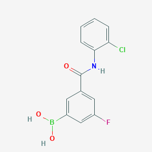 molecular formula C13H10BClFNO3 B12647450 3-(2-Chlorophenylcarbamoyl)-5-fluorobenzeneboronic acid 