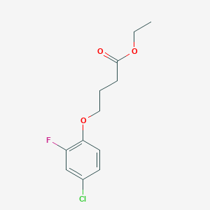 molecular formula C12H14ClFO3 B12647520 Ethyl 4-(4-chloro-2-fluoro-phenoxy)butanoate 