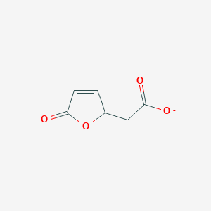 molecular formula C6H5O4- B1264760 5-氧代-2,5-二氢-2-呋喃乙酸酯 