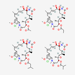 molecular formula C126H168Cl4N8O36 B12648204 Ansamitocin P 4 CAS No. 69279-90-9
