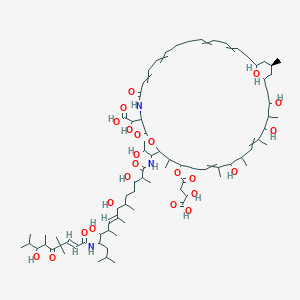 molecular formula C81H131N3O23 B1264824 Chondropsin C 