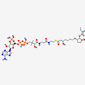 molecular formula C39H64N7O19P3S B1264880 3-Hydroxy-OPC8-CoA 