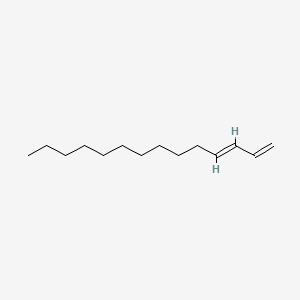 molecular formula C14H26 B12649616 Tetradeca-1,3-diene CAS No. 25447-84-1