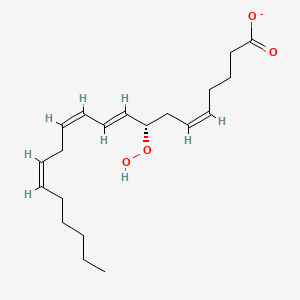 (5Z,9E,11Z,14Z)-(8S)-8-hydroperoxyicosa-5,9,11,14-tetraenoate