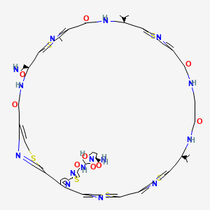 molecular formula C50H53N15O9S6 B1265000 N-[(2S)-1-[(2S)-2-carbamoylpyrrolidin-1-yl]-3-hydroxy-1-oxopropan-2-yl]-2-[(18S,25S,35S)-21-methyl-18-[2-(methylamino)-2-oxoethyl]-16,23,30,33-tetraoxo-25,35-di(propan-2-yl)-3,13,20,27,37-pentathia-7,17,24,31,34,39,40,41,42,43-decazaheptacyclo[34.2.1.12,5.112,15.119,22.126,29.06,11]tritetraconta-1(38),2(43),4,6(11),7,9,12(42),14,19(41),21,26(40),28,36(39)-tridecaen-8-yl]-1,3-thiazole-4-carboxamide 