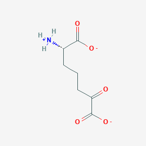 molecular formula C7H10NO5- B1265012 (S)-2-amino-6-oxopimelate 