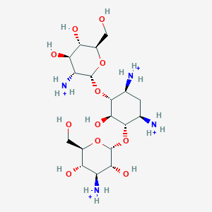 kanamycin C(4+)