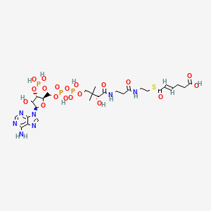 molecular formula C27H42N7O19P3S B1265049 trans-2,3-didehydroadipoyl-CoA 