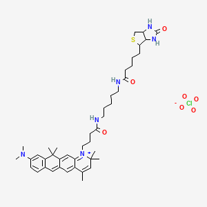 molecular formula C43H61ClN6O7S B1265060 9-(dimethylamino)-2,2,4,11,11-pentamethyl-1-{4-oxo-4-[(5-{[5-(2-oxohexahydro-1H-thieno[3,4-d]imidazol-4-yl)pentanoyl]amino}pentyl)amino]butyl}-2,11-dihydronaphtho[2,3-g]quinolinium perchlorate 