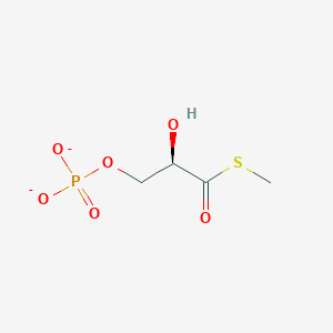 molecular formula C4H7O6PS-2 B1265062 S-methyl 3-O-phosphonato-1-thio-D-glycerate(2-) 