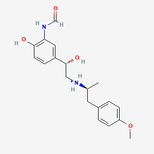 molecular formula C19H25N2O4+ B1265069 (S,S)-formoterol(1+) 