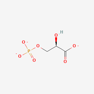 molecular formula C3H4O7P-3 B1265101 3-phosphonato-D-glycerate(3-) 