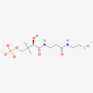 D-pantetheine 4'-phosphate(2-)