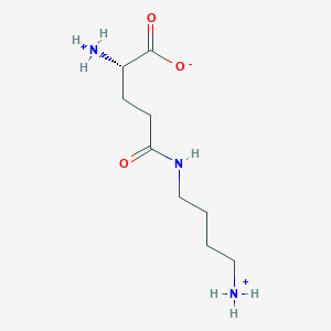 gamma-L-glutamylputrescinium(1+)