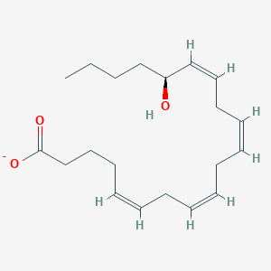 molecular formula C20H31O3- B1265210 (5Z,8Z,11Z,14Z,16S)-16-hydroxyeicosa-5,8,11,14-tetraenoate 