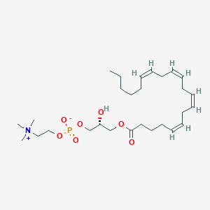 1-Arachidonoyl-sn-glycero-3-phosphocholine