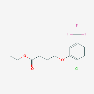 molecular formula C13H14ClF3O3 B12652204 Ethyl 4-[2-chloro-5-(trifluoromethyl)-phenoxy]butanoate 