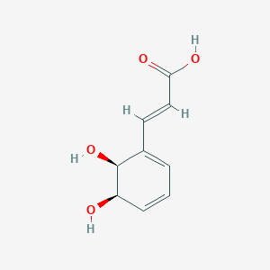 molecular formula C9H10O4 B1265233 (E)-3-[(5R,6S)-5,6-dihydroxycyclohexa-1,3-dienyl]acrylic acid 