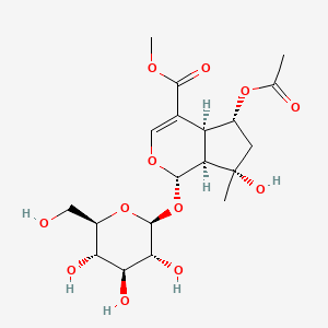 molecular formula C19H28O12 B1265266 6-O-乙酰赤芍苷甲酯 
