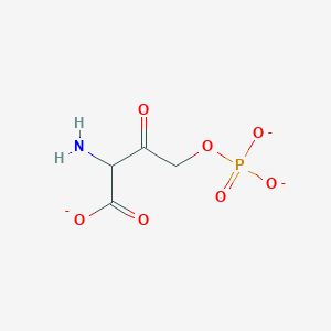 molecular formula C4H5NO7P-3 B1265325 2-Amino-3-oxo-4-(phosphonatooxy)butanoate 