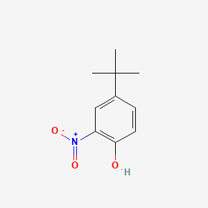 molecular formula C10H13NO3 B1265401 4-叔丁基-2-硝基苯酚 CAS No. 3279-07-0