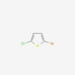 molecular formula C4H2BrClS B1265590 2-溴-5-氯噻吩 CAS No. 2873-18-9
