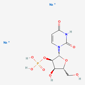 molecular formula C9H13N2Na2O9P+2 B12658089 2'-Uridylic acid, disodium salt CAS No. 42829-43-6