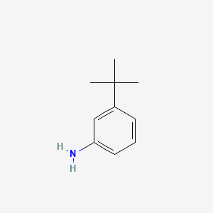 molecular formula C10H15N B1265813 3-tert-Butylaniline CAS No. 5369-19-7