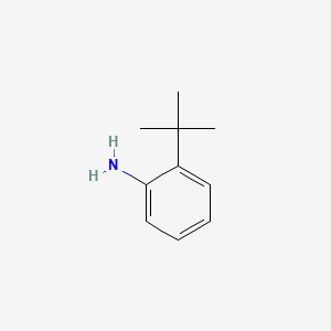 molecular formula C10H15N B1265841 2-叔丁基苯胺 CAS No. 6310-21-0