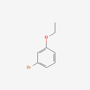 molecular formula C8H9BrO B1265880 3-Bromophenetole CAS No. 2655-84-7