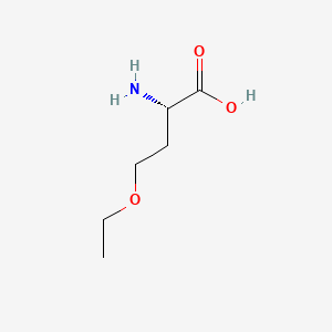 molecular formula C6H13NO3 B1265976 2-Amino-4-ethoxybutanoic acid CAS No. 17804-70-5