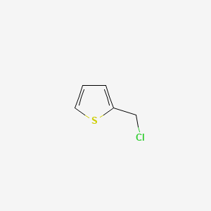 molecular formula C5H5ClS B1266113 2-(Chloromethyl)thiophene CAS No. 765-50-4