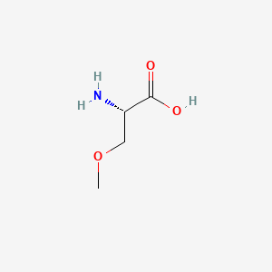 molecular formula C4H9NO3 B1266423 O-Methylserine CAS No. 4219-94-7