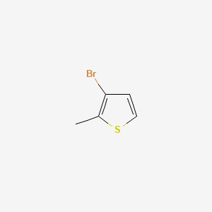 molecular formula C5H5BrS B1266441 3-溴-2-甲基噻吩 CAS No. 30319-05-2